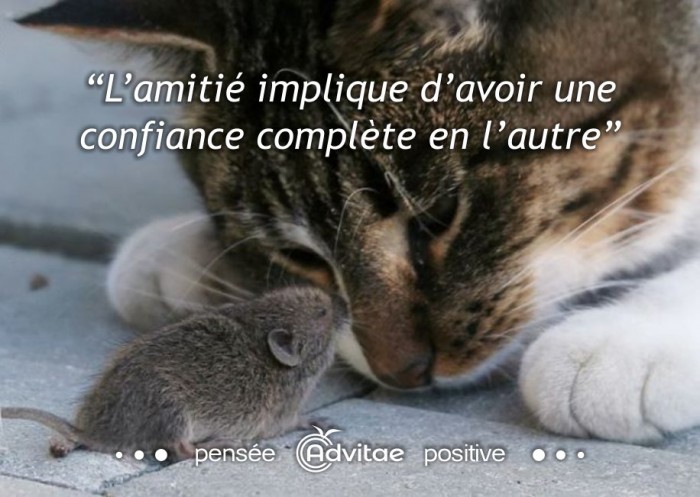 Lamiti implique davoir une confiance complte en lautre