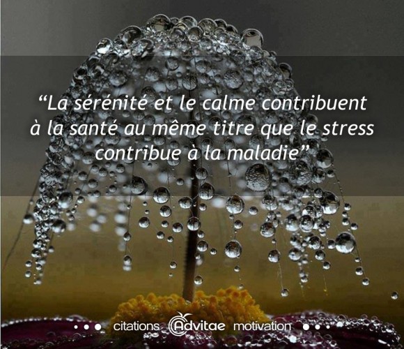 La srnit contribue  la sant, le stress  la maladie