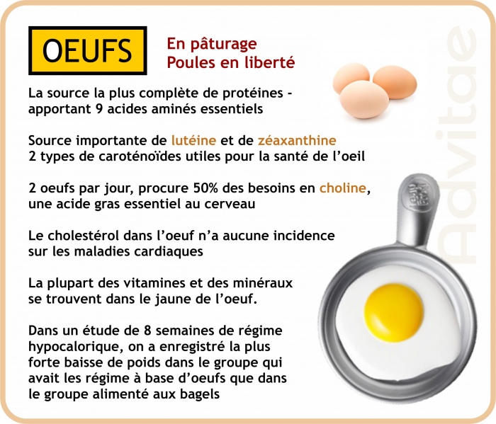 Les oeufs sont une excellente source ce protines et de plusieurs nutriments essentiels