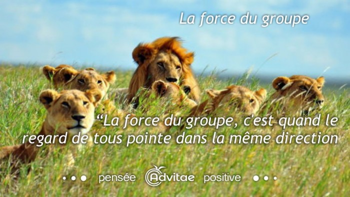 La force du groupe, c'est quand le regard de tous pointe dans la mme direction​