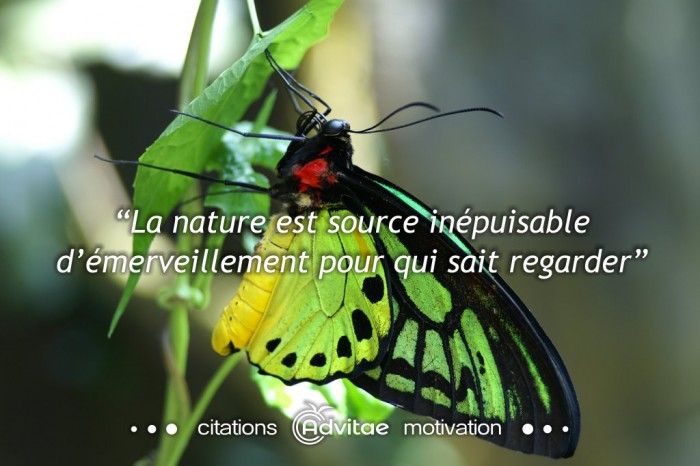 La nature est une source inpuisable dmerveillement pour qui sait regarder