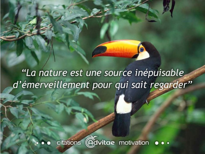 La nature est une source inpuisable dmerveillement pour qui sait regarder