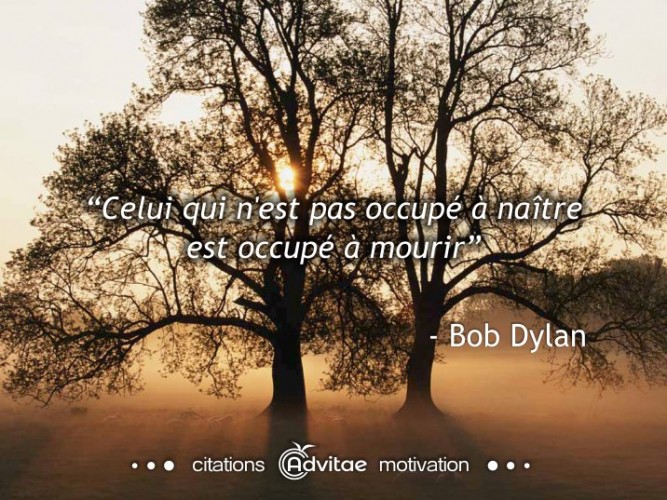 Celui qui n'est pas occup  natre est occup  mourir