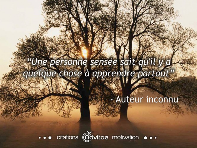Une personne sense sait qu'il y a quelque chose  apprendre partout
