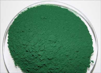 La spiruline