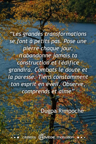 Les grandes transformations se font  petits pas